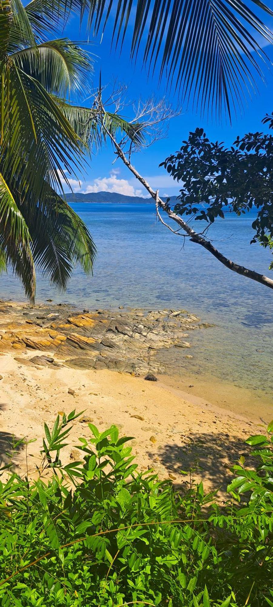 The View - Jungle Lodges - Port Barton San Vicente  Exterior foto