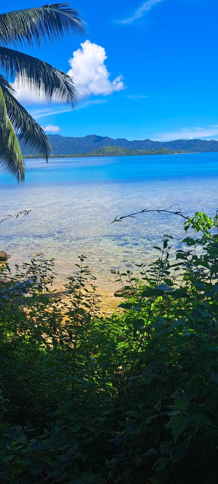 The View - Jungle Lodges - Port Barton San Vicente  Exterior foto